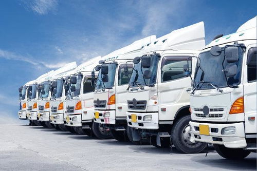 網(wǎng)絡(luò)貨運(yùn)申報(bào)成本高企與合規(guī)之路 百萬(wàn)門檻與程序迷宮的挑戰(zhàn)